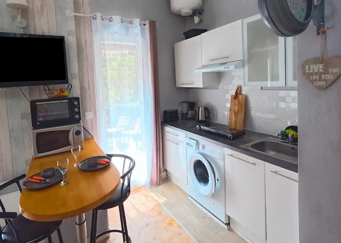 Cocon Duplex-terrasse, L'amelie D'elo Διαμέρισμα Amélie-les-Bains-Palalda